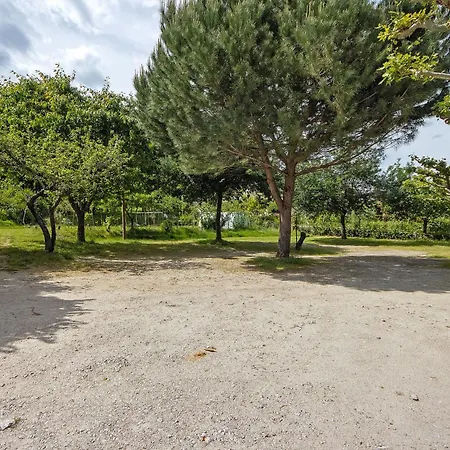 Jorge Galinheiro Local Mamouros