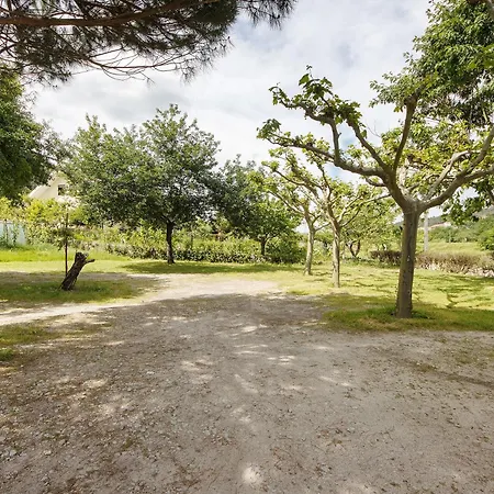 Affittacamere Jorge Galinheiro Local