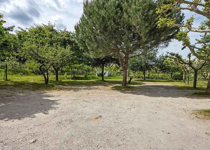 Jorge Galinheiro Local Mamouros